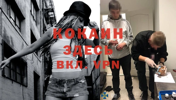 мяу мяу мука Переславль-Залесский