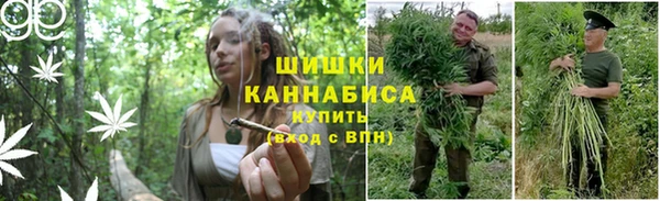 мяу мяу мука Переславль-Залесский
