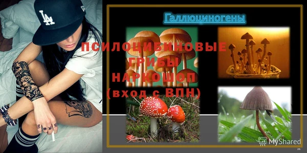 мяу мяу мука Переславль-Залесский