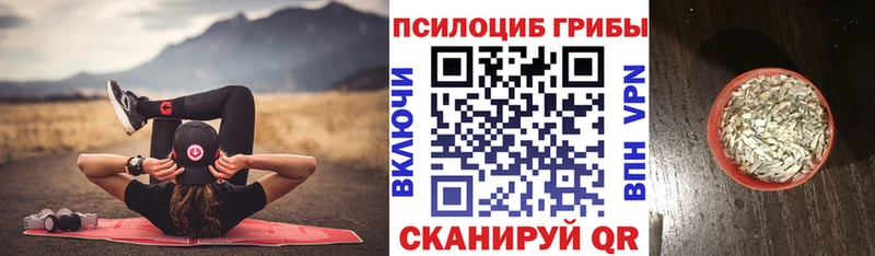 Псилоцибиновые грибы прущие грибы  даркнет сайт  Арск 